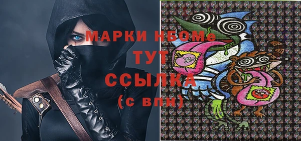 ПСИЛОЦИБИНОВЫЕ ГРИБЫ Вязники