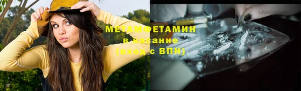 ПСИЛОЦИБИНОВЫЕ ГРИБЫ Вязники